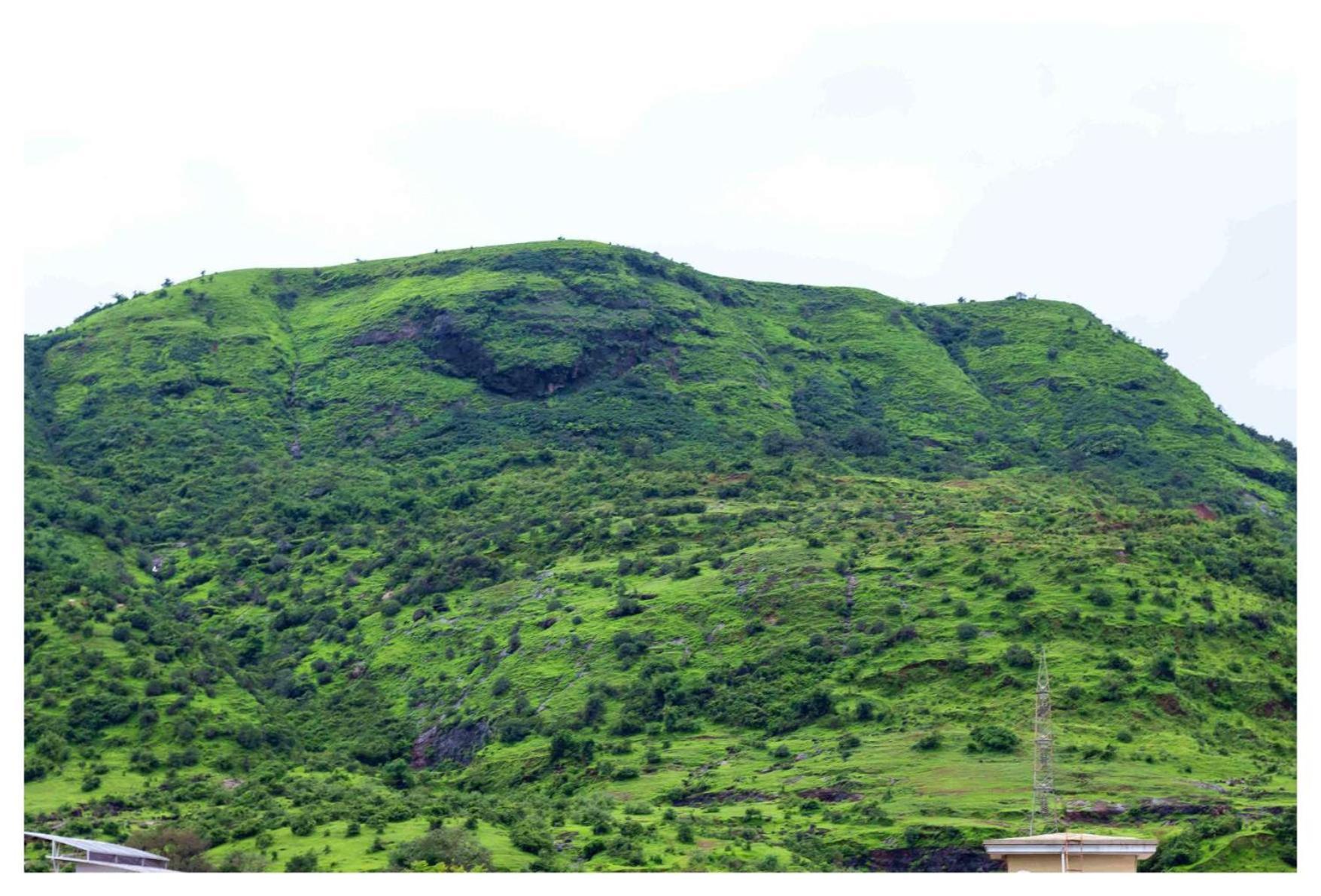 Salt Life Villa Lonavala Luaran gambar